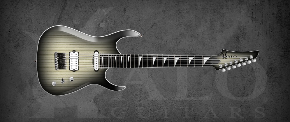 Halo Merus Custom Guitar Zebrawood Body