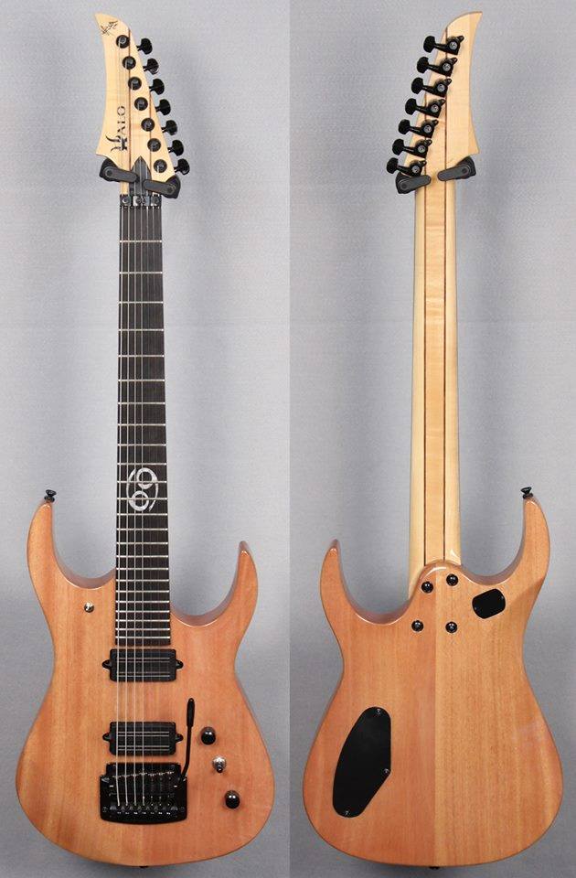 Halo Merus Custom Guitar Upon A Burning Body Sal Dominguez