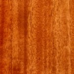 Tone Wood: Mahogany