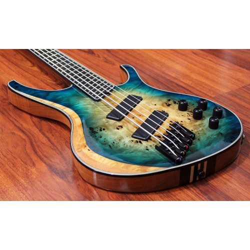 OCTAVIA - 5-String, Multiscale Bass Guitar, Poplar Burl