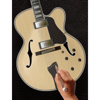 Halo Custom Guitars - Archtop Guitars Customization Tool