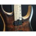 MERUS - 6-string, Claro Walnut Burl, EverTune, Natural