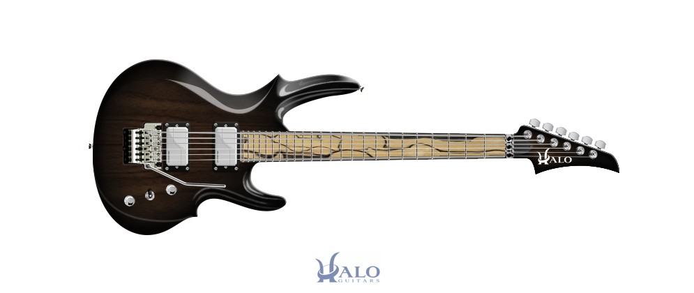 2 New Fretboard Options Pale Moon Ebony Zebrawood