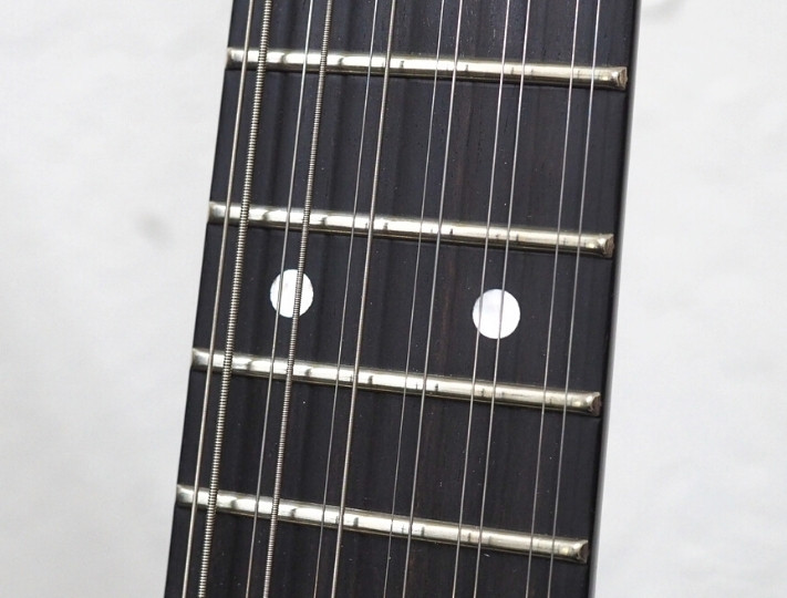 12 string electric guitar zero fret
