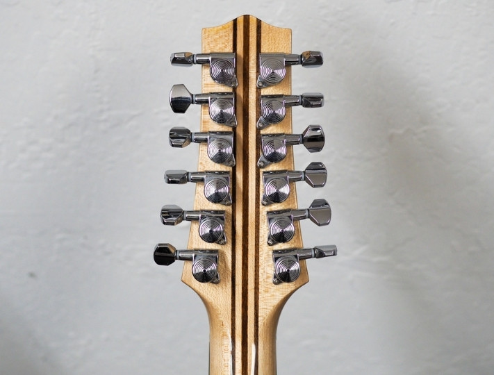 12 string electric guitar locking tuners