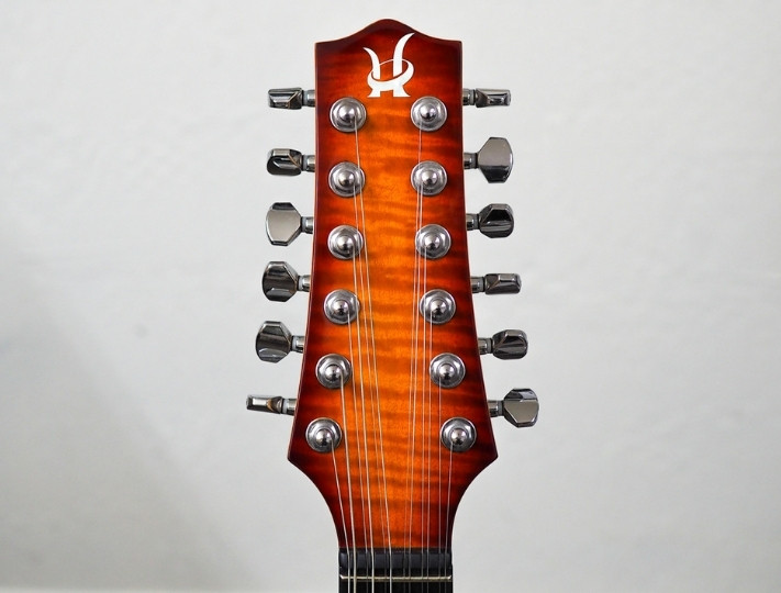 12 string electric guitar headstock