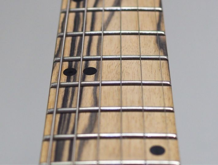 pale moon ebony fretboard