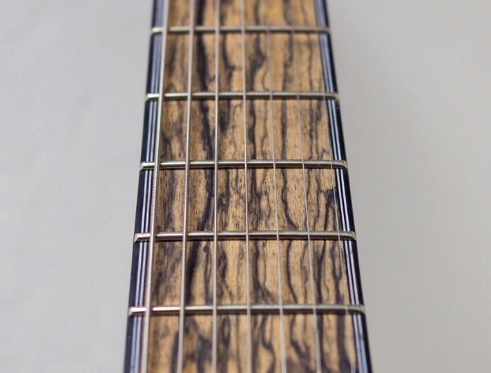pale moon ebony fretboard guitar