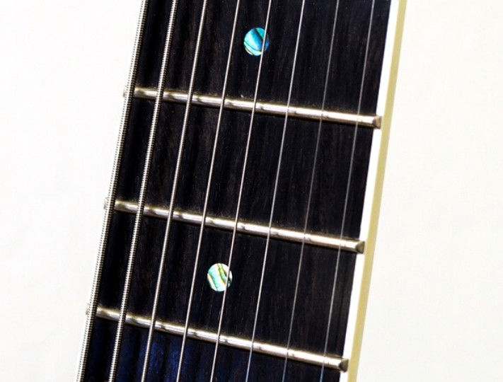 ebony FRETBOARD